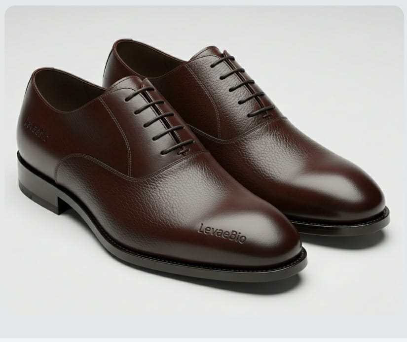 Classic Oxford Shoe Example with Levaebio Logo